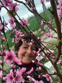 WhatsApp Image 2020-03-16 at 11.56.04 AM